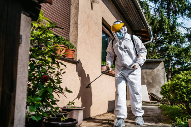 Best Pest Control Near Me  in Burlington, NC