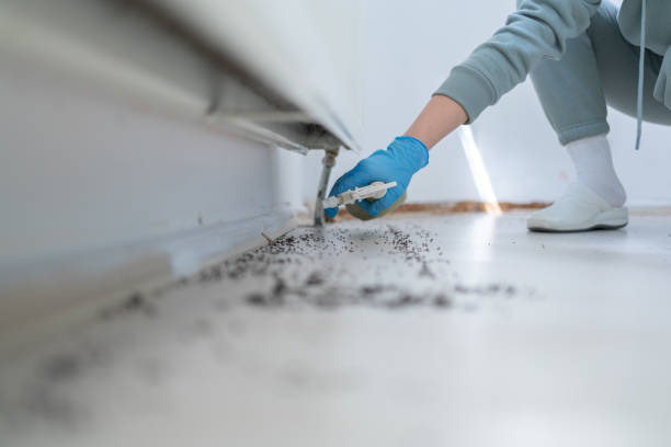 Best Emergency Pest Control  in Burlington, NC